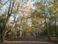 /album/szegedi-kiranduas-2013-11-09-/img-1630-jpg/